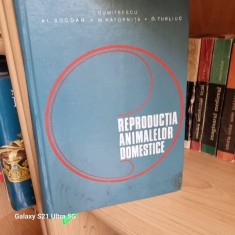 I. Dumitrescu, A. Bogdan, M. Nafornita, O. Turliuc - Reproductia animalelor domestice