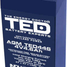 Acumulator 4V 4.6Ah 47x47xh100.6mm AGM Battery TED446F1 TED002853