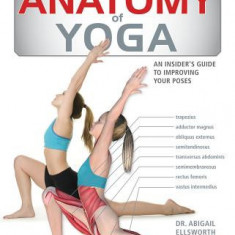 Anatomy of Yoga: An Instructor's Inside Guide to Improving Your Poses