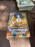 Dominique Lormier - Povestiri extraordinare ale budismului Tibetan