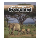 Living and Non-Living in the Grasslands