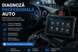 Diagnoza profesionala