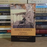 GIORGIO AGAMBEN - PRIETENUL SI ALTE ESURI , HUMANITAS , 2012 *