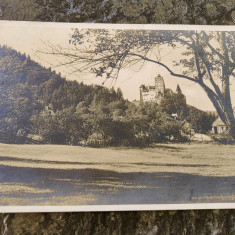 Carte postala Castelul Bran- Torzburg, parcul, interbelica, anii 1930, circulata