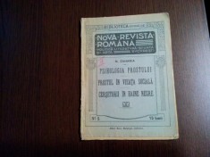 PSIHOLOGIA PROSTULUI, PROSTUL IN VIATA SOCIALA - N. Zaharia - 1911, 46 p. foto