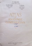 Vasile Ghetie - Atlas de anatomie comparativa, vol. 1 (Editia: 1954)