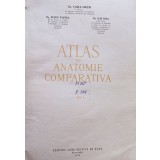 Vasile Ghetie - Atlas de anatomie comparativa, vol. 1 (Editia: 1954)