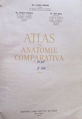 Vasile Ghetie - Atlas de anatomie comparativa, vol. 1 (1954) foto