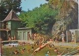 Bazna. Strandul (Carte postala circulata)