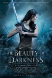 The Beauty of Darkness: The Remnant Chronicles: Book Three