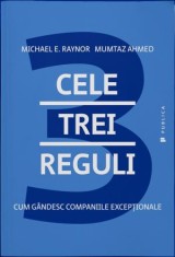 Cele trei reguli. Cum gandesc companiile exceptionale - Publica