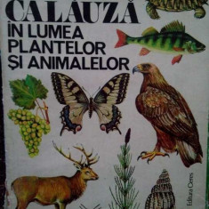 Constantin Parvu - Calauza in lumea plantelor si animalelor (editia 1985)