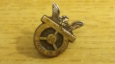 QW9 N 98 - insigna - militar - aviatie - Armata SUA