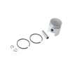 Piston ATOMIZOR 40F, Micul Fermier