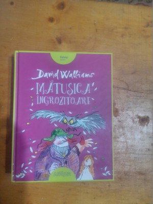 Matusica ingrozitoare-David Walliams foto