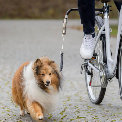 Set pentru a fixa c&amp;acirc;inii de biciclete foto