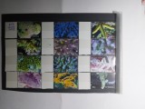 timbre tuvalu 2006