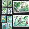 grenada pasari mnh