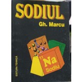 SODIUL-GH. MARCU-252236