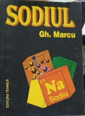 SODIUL-GH. MARCU-252236 foto