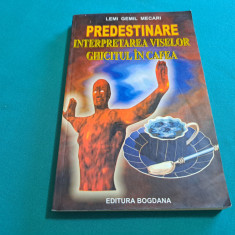 PREDESTINARE INTERPRETAREA VISELOR GHICITUL ÎN CAFEA / LEMI GEMIL MECARI /2004 *