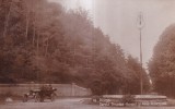 Pitesti. Parcul Trivalea. Rondul si Aleia Principala (necirculata)