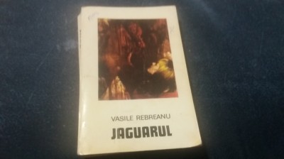 VASILE REBREANU - JAGUARUL foto