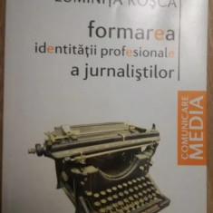 Formarea identității profesionale a jurnalistilor, Luminița Roșca 2009