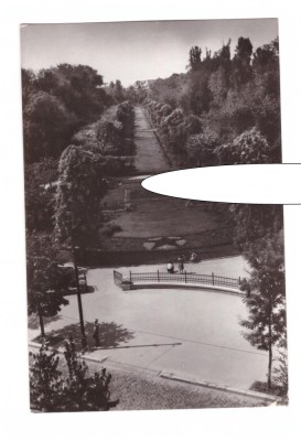 CP Bucuresti - Vedere din Cismigiu, RPR, circulata, stare excelenta foto