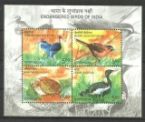 INDIA 2006 FAUNA PASARI SPECII PROTEJATE
