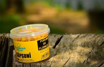 PORUMB DE FLORICELE CLAUMAR 100 GR CAPSUNI foto