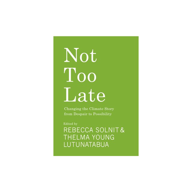 Not Too Late: Changing the Climate Story from Despair to Possibility