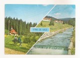RF88 - Carte Postala - Stana de Vale, circulata 1974