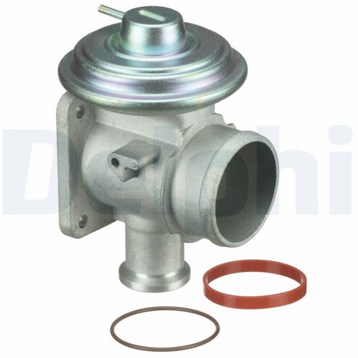 DELPHI EG10464-12B1 Supapa EGR