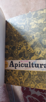 REVISTA APICULTURA IN ROMANIA ANUL 1969 , LOT 11 REVISTE, LIPSA LUNA IULIE foto