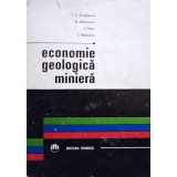 Economie geologica miniera