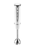 Cumpara ieftin Blender de mana ETA Rizzo 1057, 400 W, 1 viteza + TURBO, lama si duza din otel inoxidabil