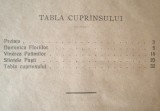 Durerea Vinerii celei Mari și Soarele Sfintelor Paști (Arhim. I. Scriban, 1924)