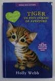 TIGER , UN PISOI DORNIC DE AVENTURA de HOLLY WEBB , ilustratii de SOPHY WILLIAMS , 2018