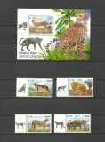 ANGOLA 2018 FAUNA ANIMALE SALBATICE FELINE, Nestampilat