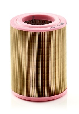 Filtru aer Mann-Filter C1430 foto