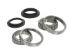 Set rulment roata FORD TRANSIT bus (E) (1994 - 2000) BTA H2G008BTA