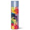 Aerosol pentru intretinere bord cu silicon Prevent 500ml - New Car Garage AutoRide
