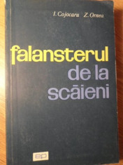 FALANSTERUL DE LA SCAIENI - I. COJOCARU, Z. ORNEA foto
