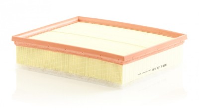 Filtru Aer Mann-Filter C29034 foto