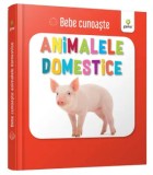 Cumpara ieftin Animalele domestice/***