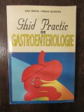 Ghid practic de gastroenterologie - Ana-Maria Orban - Schiopu