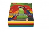 Hartie colorata HR802 A4, 500 coli, 10 culori DACO 80g/mp