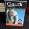 GAUDI VIZIONARUL - PHILIPPE THIEBAUT