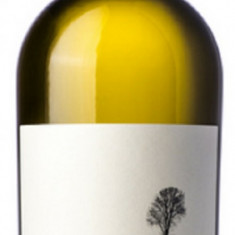 Vin alb - Issa La Salina, Sauvignon Blanc, sec, 2017 | Crama La Salina